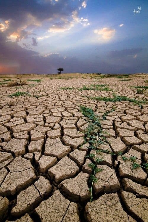 Aid for Trade and Development Cuts: How Donor Policy Shifts Are Deepening the Climate-Conflict Crisis in the Sahel