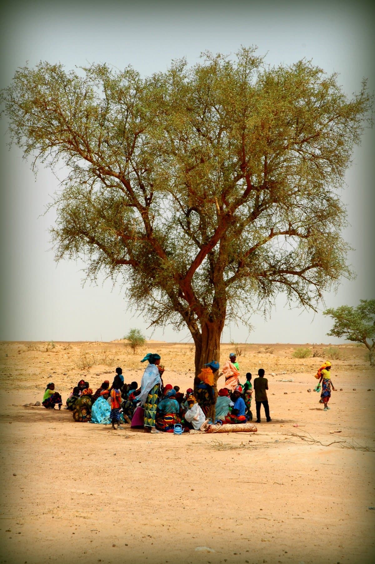 Shrinking Aid, Rising Instability: The Future of Peacebuilding in Sub-Saharan Africa