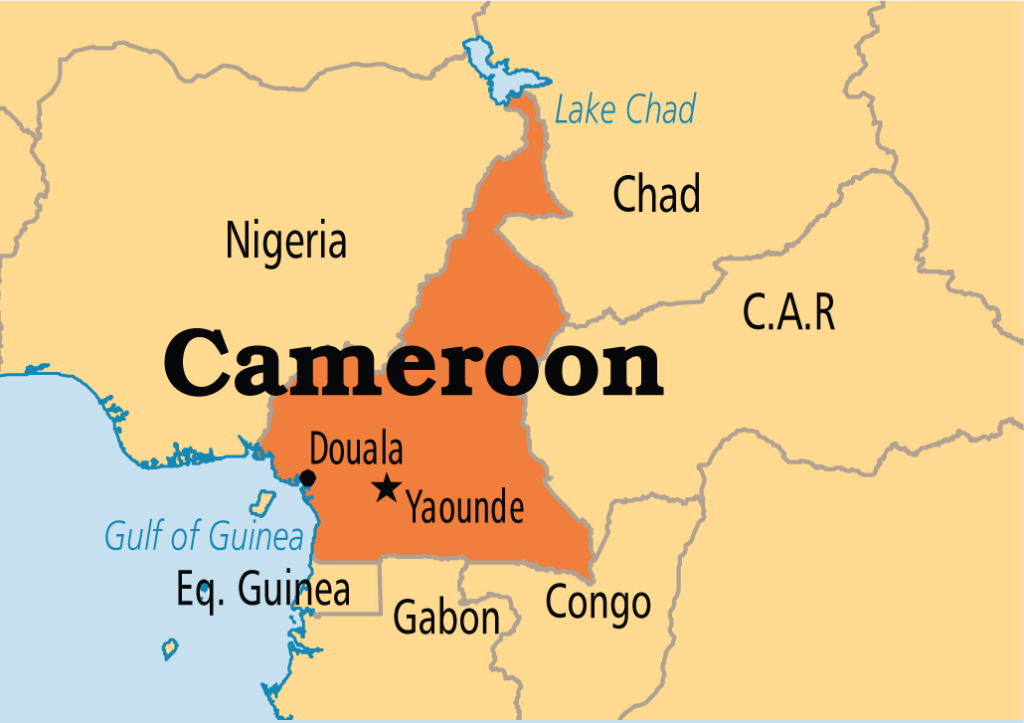 Cameroon’s National Dialogue as a Lens for Uncovering Persistent Patterns of Inadequate Inclusion in African Peacebuilding Dialogues 