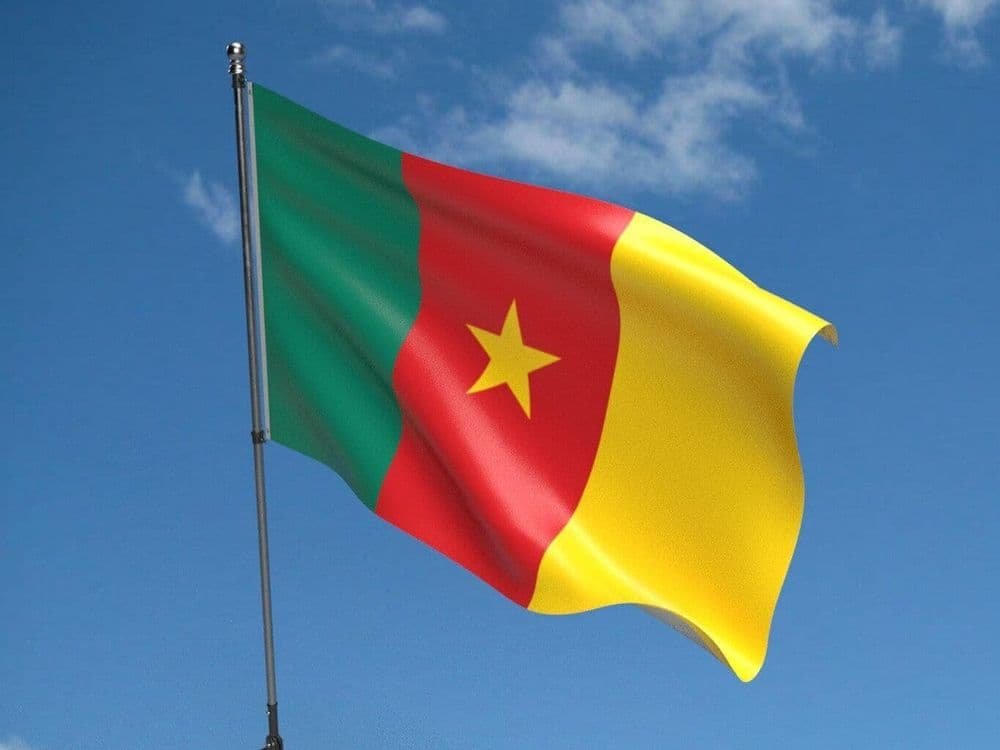 Cameroon celebrates national dialogue anniversary, but critics say dialogue outcomes remain unmet